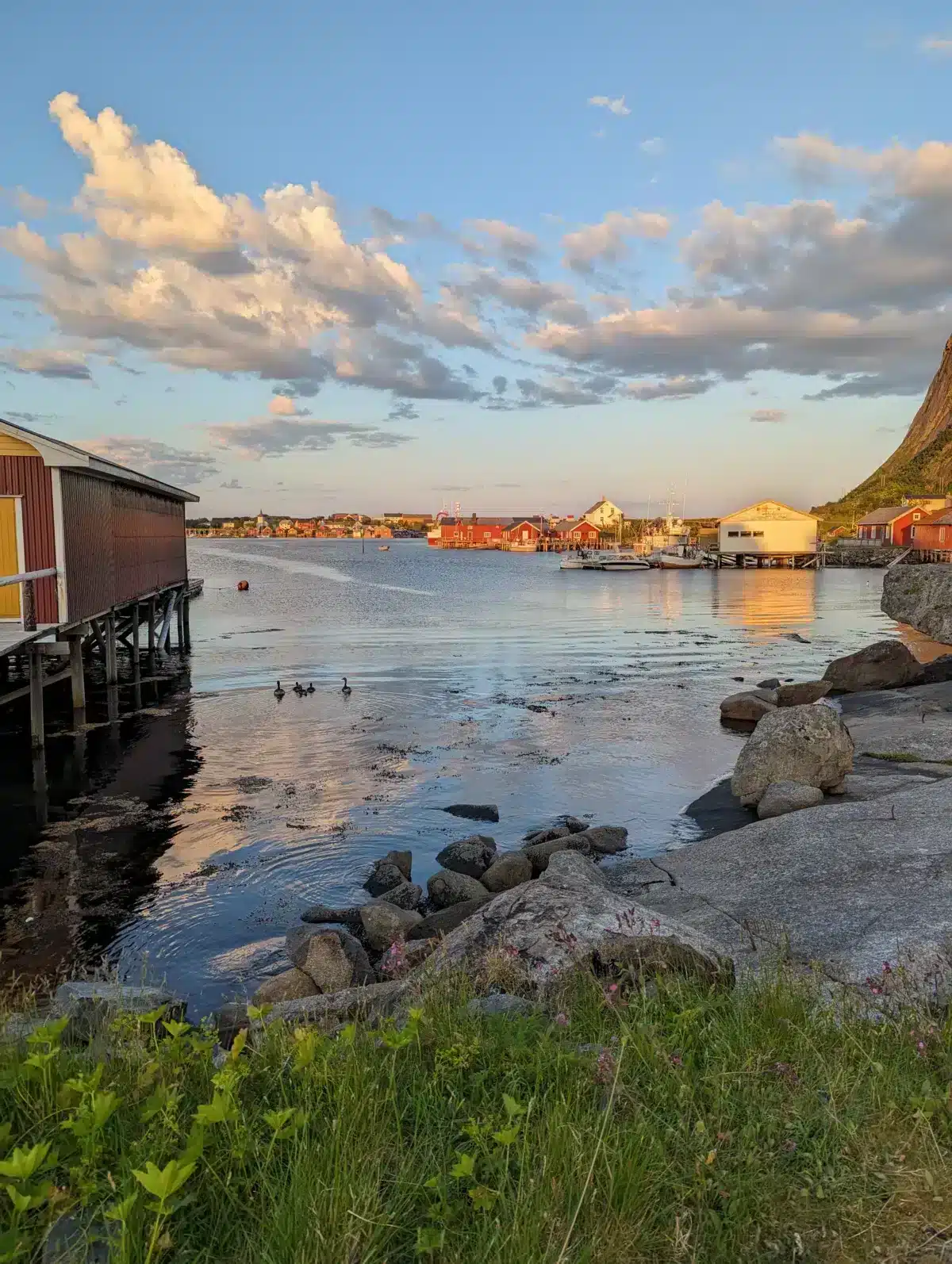 isole lofoten villaggio regina norvegia sole di mezzanotte